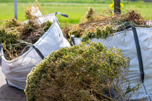 Best Furniture Removal Near Me  in Butler, MO